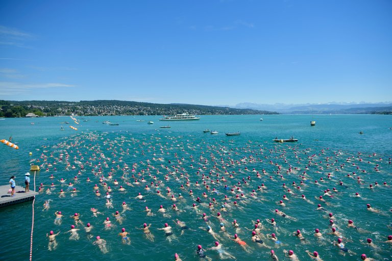 Freiwillige reinigen die Ufer des Zürichsees